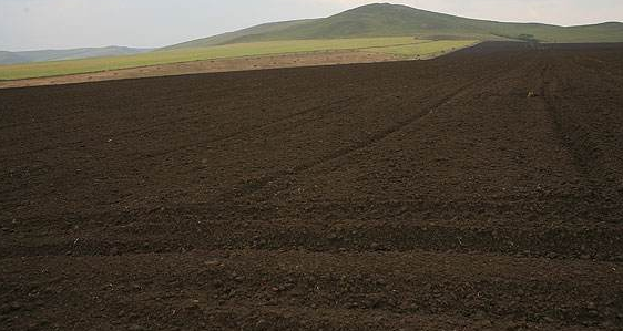 什么樣的土地更適合植物的生長(zhǎng)