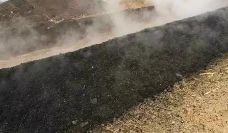 雞糞到底對(duì)于瓜果是毒藥還是寶？