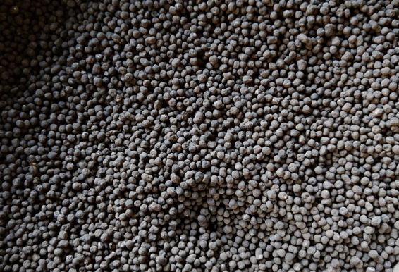 雞糞、豬糞、牛糞、羊糞哪種有機(jī)肥有什么區(qū)別？