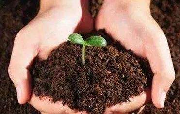 有機(jī)農(nóng)業(yè)的到來(lái)