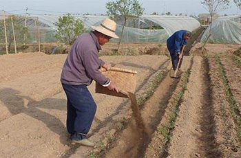 有機(jī)肥改良土壤
