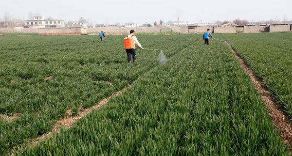 農(nóng)業(yè)施肥